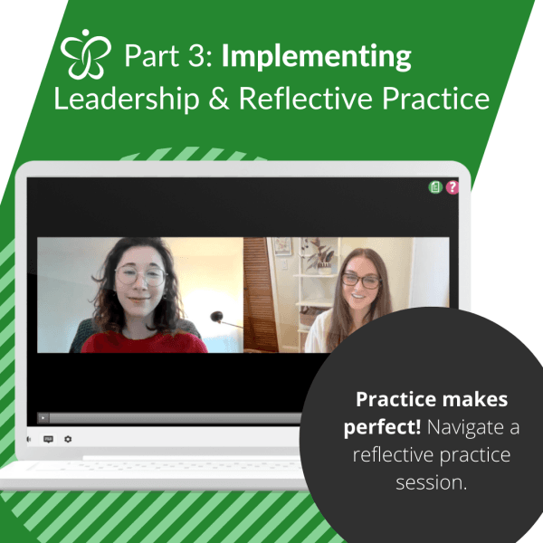 Course 3 Implementing Leadership and Reflective Practice